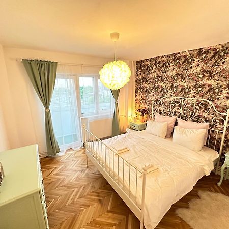 Simba Residence Timişoara Extérieur photo